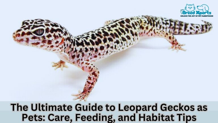 The Ultimate Guide to Leopard Geckos as Pets Care, Feeding, and Habitat Tips