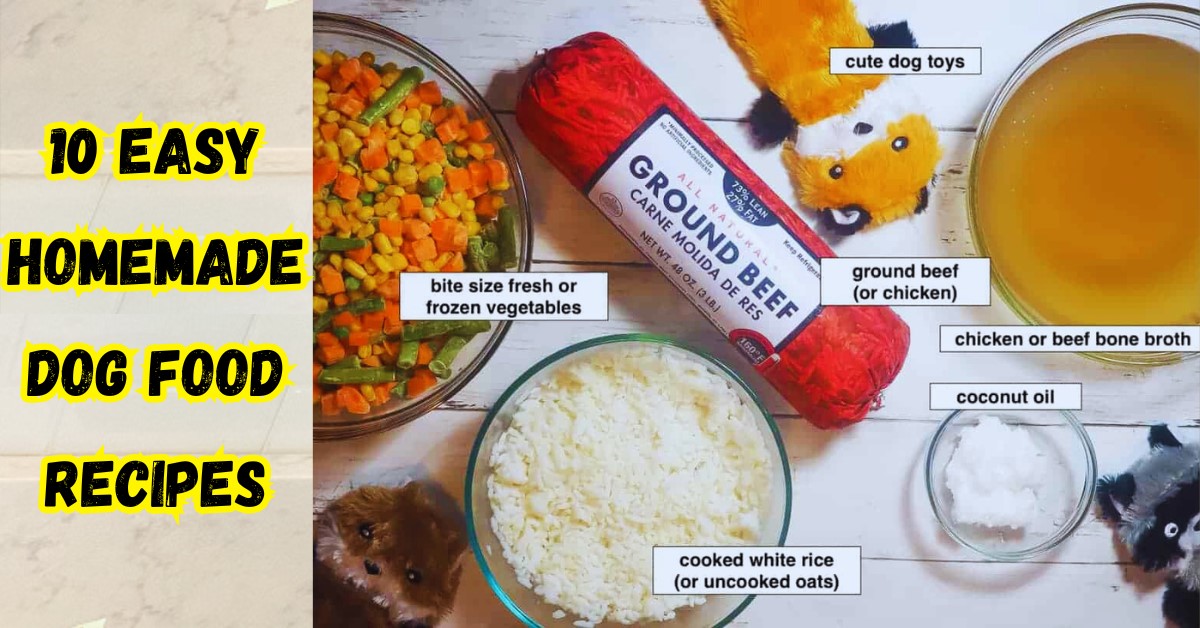 10 Easy Homemade Dog Food Recipes
